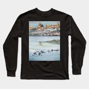 Eiders in Hare Island, St-Laurent Long Sleeve T-Shirt